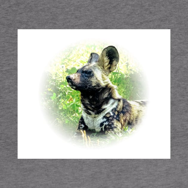 African wild dog by Guardi